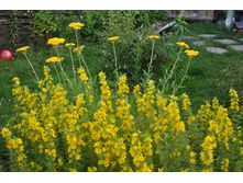 ��������� ��������