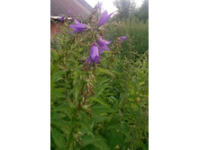 20160707 �����������.jpg