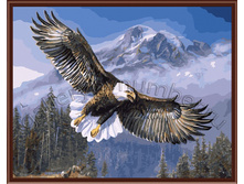 GL6386 ������� ����.jpg