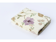 Bonita ������������.JPG