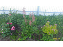 P 20160630 192026 1 p.jpg