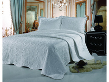 Every Day (White).jpg