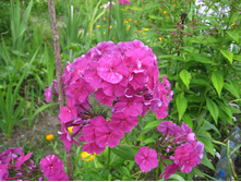 �������  (���������0