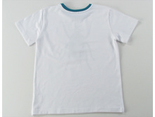 WS17TSB-2-003 TYL .jpg