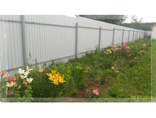 P 20160712 195012 1 p 1.jpg