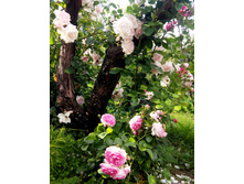 20160702 175500.jpg