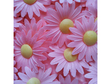 ������ 13*042*RB "����������"