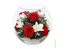 ���������� �� ��� � ������� (���. BLM-02) - 2897 ���+%.jpeg