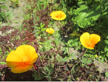 ���� 025.jpg