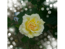 P 20160721 130108 1 p 1 1.jpg