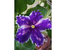 ��������� 2