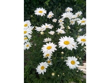 �������.