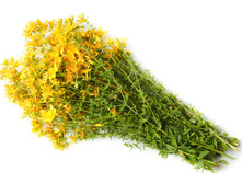 �������� ��������.jpg