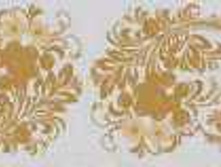 ����� ����������� "������� ������" N*SA*H5*0-������ (�������)