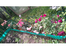 ������� (30).JPG