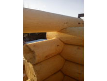 IMG 20160323 181230.jpg