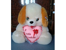 2016-07-27 12.42.58-1.jpg