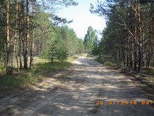 216.JPG