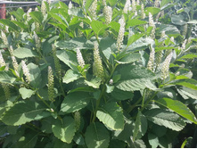 13631529 1444198318939070 6697988405955064896 n.jpg