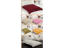 �������� ROSE  ���������� � ���������� ������ "����"