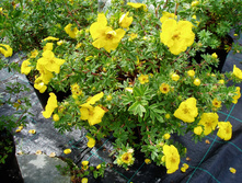 �������� ������������� �������� 1-����� (������� 100��) 90���. � ���.��������� �9.jpg