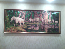 ������ 200 �� 80 �� ��������� �����