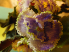 IMG 4931.JPG