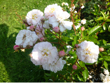 ����-�����?