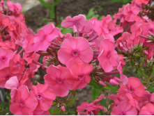 ���� ����������1.JPG