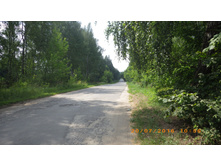 78.JPG