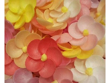 ��������� �� ���� 13*069*RA "������"