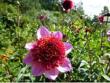 �� ������