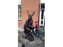 2016-05-01 15.31.25.jpg