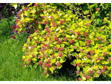 ������������� ������ 1-����� 90���..jpg