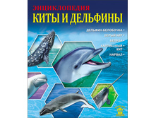 Znaniya sila. kiti i delfini.jpg
