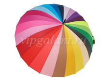 ���� ������� 386 Dolphin ������ �������� 24 ����� ������