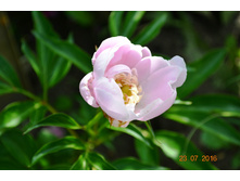 ������� ������!