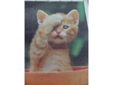 IMG 20160705 105429.jpg