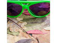 ������� �������������� ���� Real Kids Aviators 2+ ���� �������