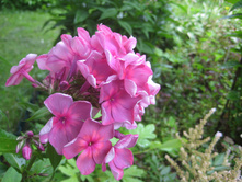 ���� ��������1.JPG