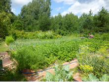 ������ � ���� ��� ���� ����.