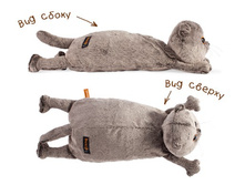 ���-������� 40 ��