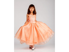 ������ 29 ------ 1180 ���