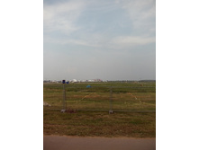 IMG 20160720 175517.jpg