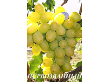 �������� ������������ 160���..jpg