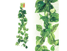 ����� �����, 180�� 233,76 ���..jpeg