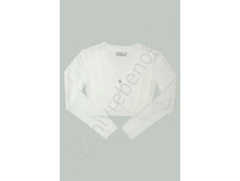 ���. 2389 DLSI.jpg