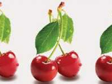 ����� ��������� ����� "�����" N*SA*H6*0- �����