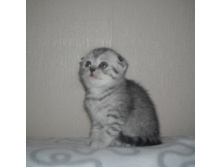DSCN6657.JPG