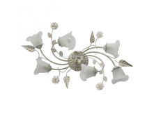 242014806 4500�.jpg